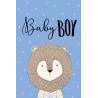 Card - Floral Bird Range - 100mm x 150mm
