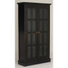 CT Display Cabinet