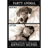 Before After Dog Greeting Card Animal Antics
