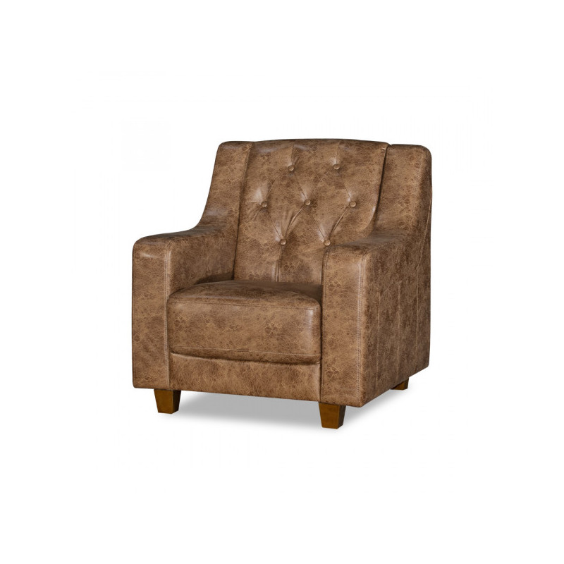BT Vitoria Library Armchair in Faux Leather