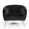 BT Monica Arm Chair with Velvet Fabric