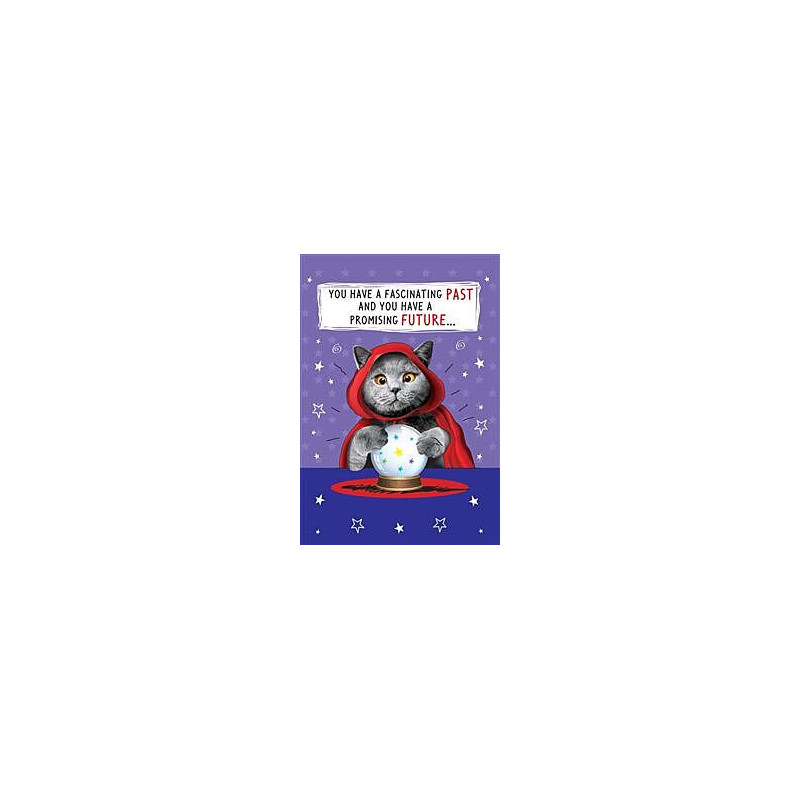 Comic Cat Fortune Teller Greeting Card Comic