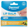 Dermal Therapy Lip Balm with PawPaw 10g