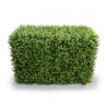 Deluxe Portable Buxus Hedge UV Resistant 100cm Long x 50cm High