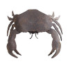 Crab Garden Art