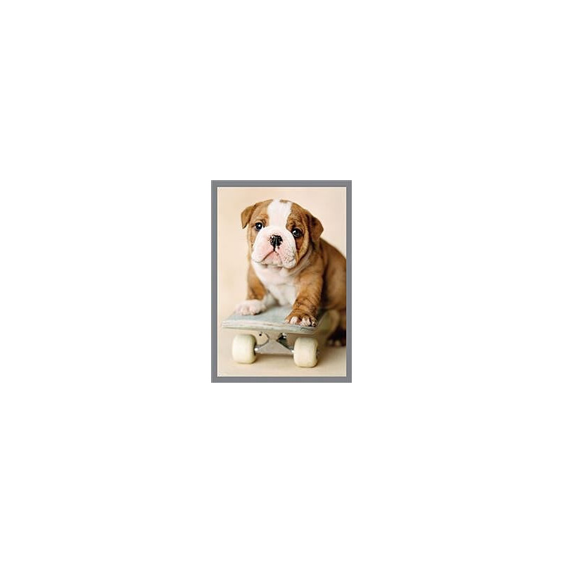 Dog on Skateboard Greeting Card Rachael Hale