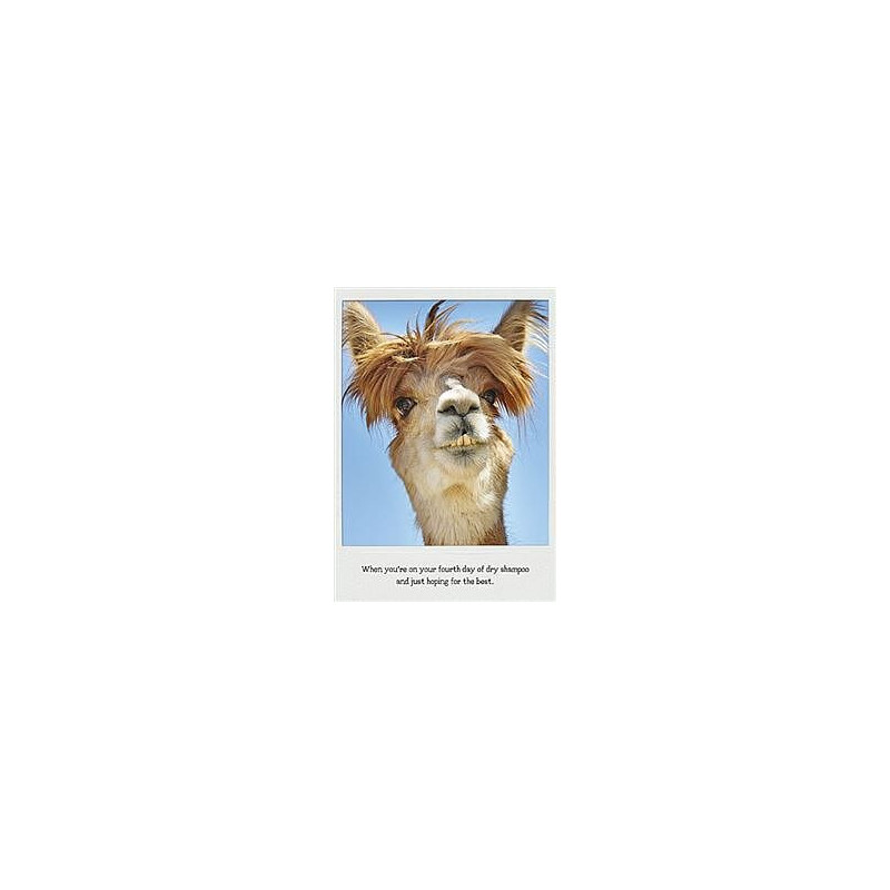 Fourth day of dry shampoo Greeting Card The Influencers