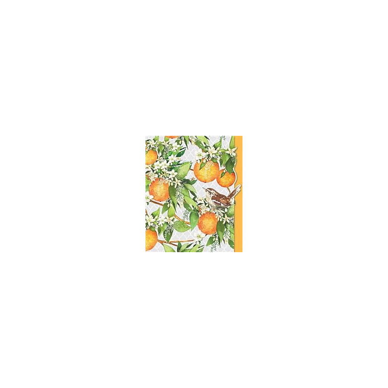 Pizazz Gallery Orange Blossom Greeting Card Pizazz Gallery