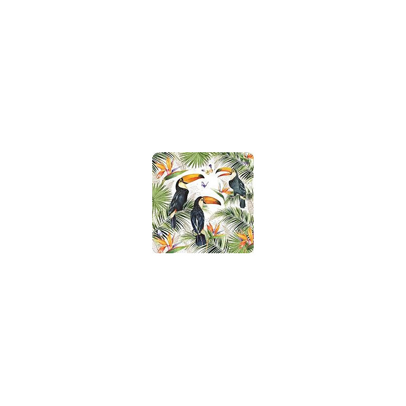 Pizazz Ltd Ed Toucans Greeting Card Pizazz Ltd Edition