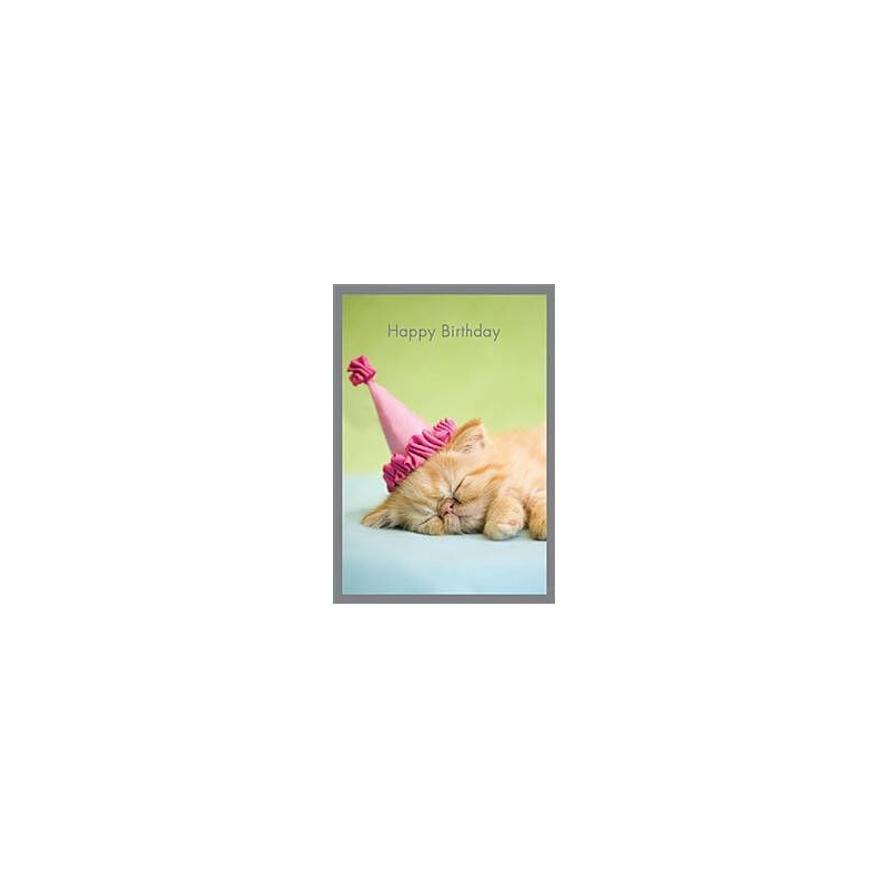 R Hale Party Hat on a Sleeping Cat Greeting Card Rachael Hale