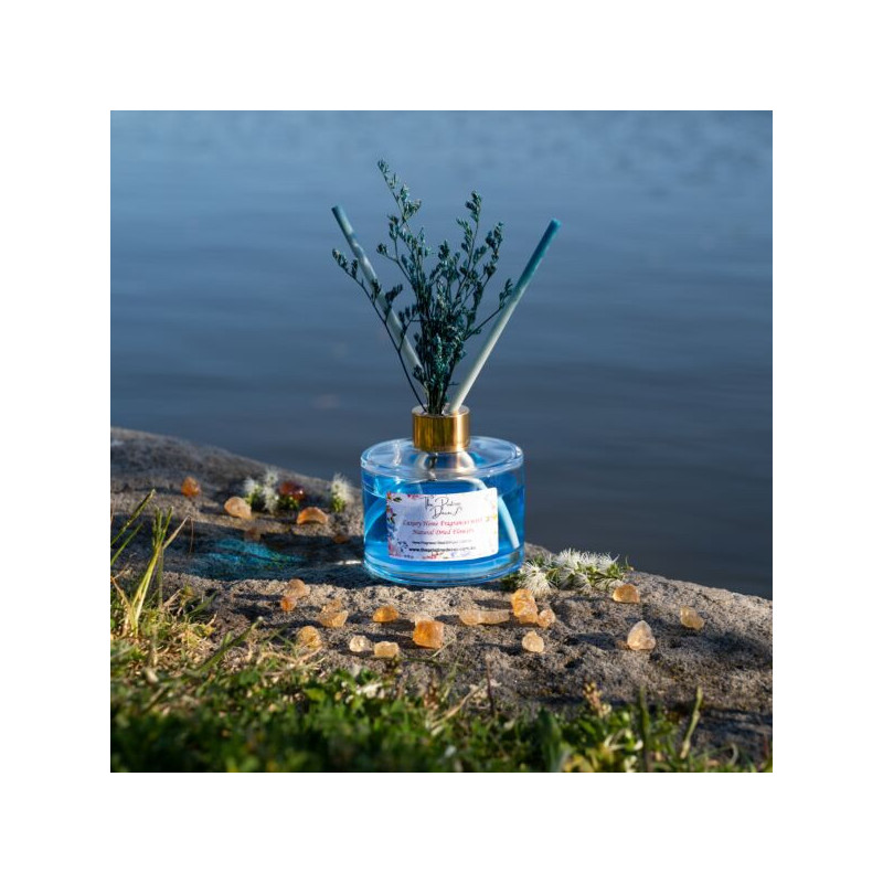 Reed Diffusers - Home Fragrance - Patchouli & Musk Blend - Ocean Breeze