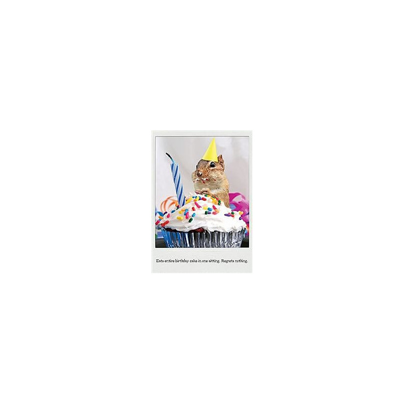 Regrets Nothing Greeting Card The Influencers