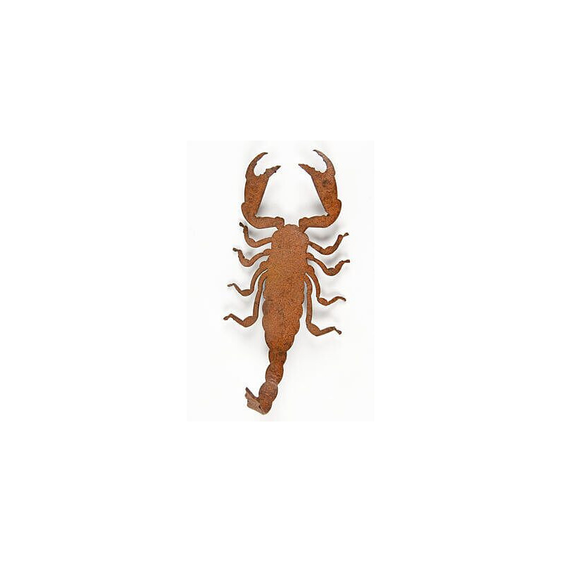 Scorpion Magnet Garden Art