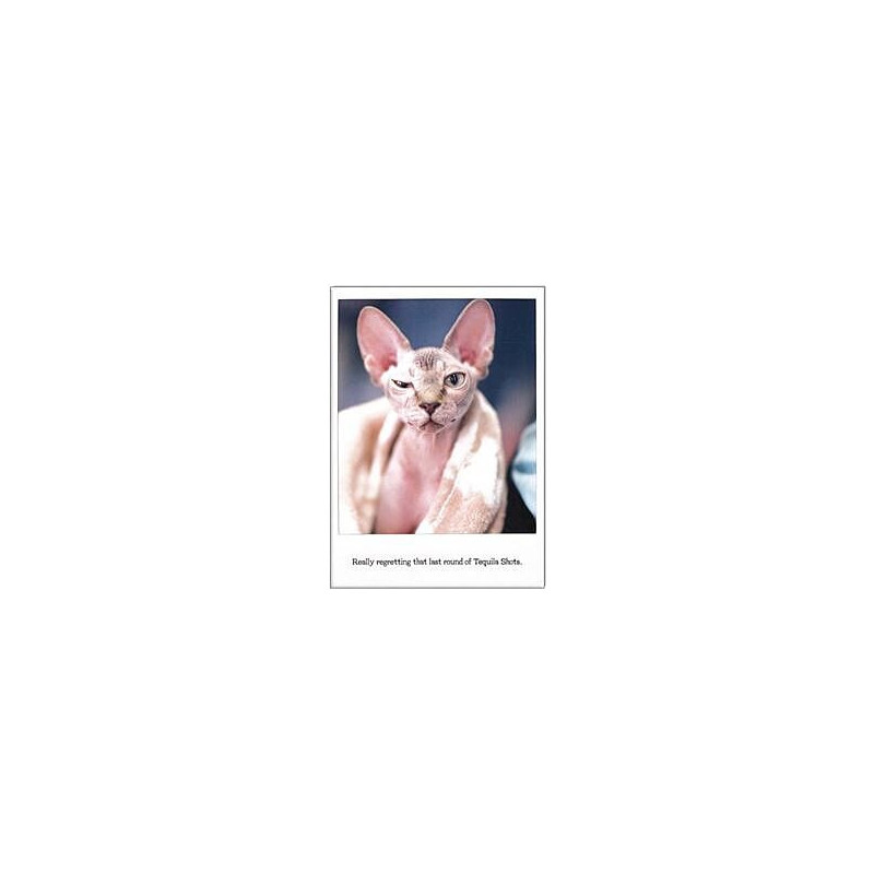 Tequila Greeting Card The Influencers