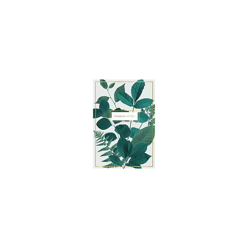 Thinking of You Male Leaves With Banner Greeting Card