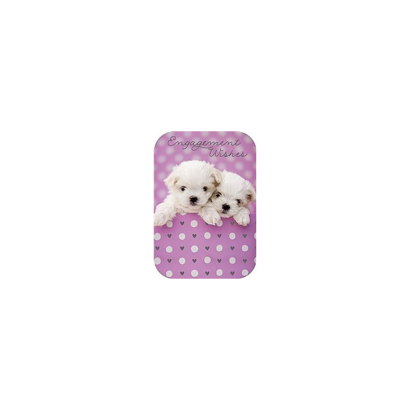Two Puppies Greeting Card
