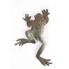 Climbing Frog Magnet Garden Art