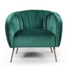 BT Monica Arm Chair with Velvet Fabric
